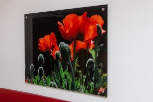 Wandbild in HD Qualität Wandbild in HD Qualität