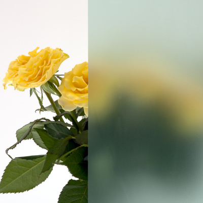 Milchglas | GLASPROFI24