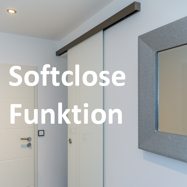 Piano Schiebetür mit integrierter Softclose-Funktion