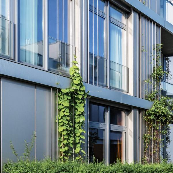 absturzsicherung-fenster-edelstahl-glas