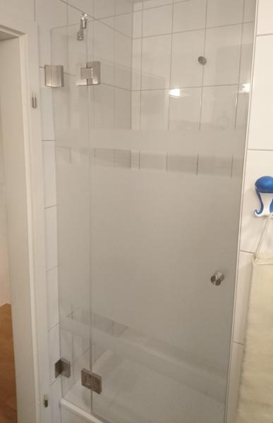 Drehtür Nischendusche Teilsatiniert