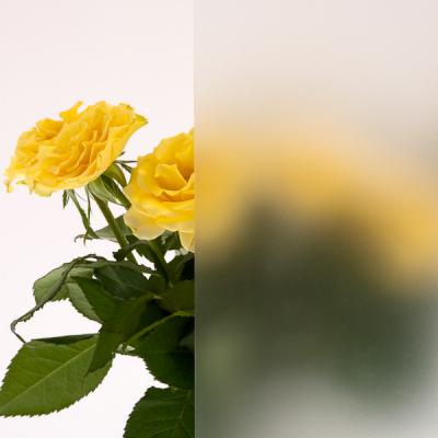 Satiniertes Weißglas ist lichtdurchlässig aber blickdicht