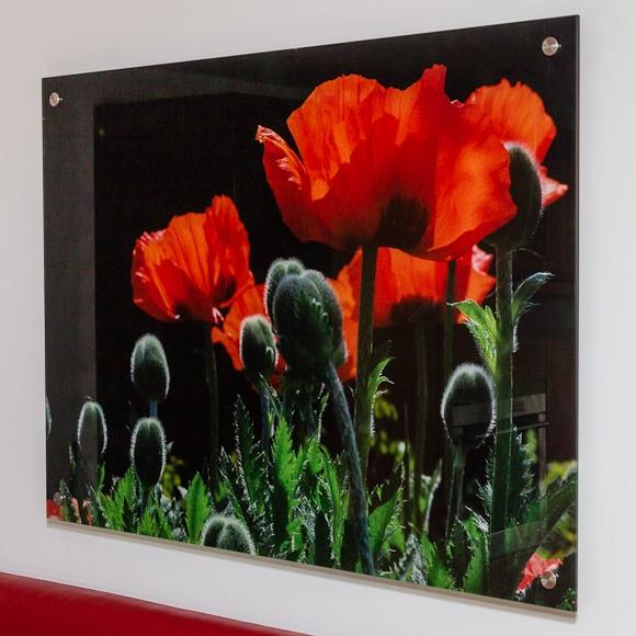 Wandbild in HD Qualität